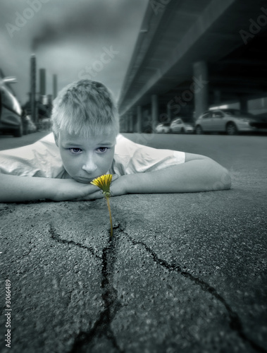 boy and a flower
