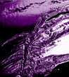 purple chrome