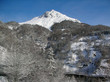 alpine 27