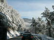 alpine road 31