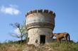 tour et cheval