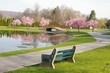 springtime in the park springtime in the park