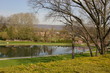 springtime in the park springtime in the park