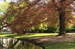 frühling im park (2) frühling im park (2)