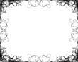Foto: black - white black - white