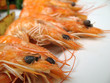 seafood close-up