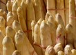 spargel