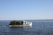 bateau de pêche au homard