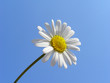 wo ist die sonne
