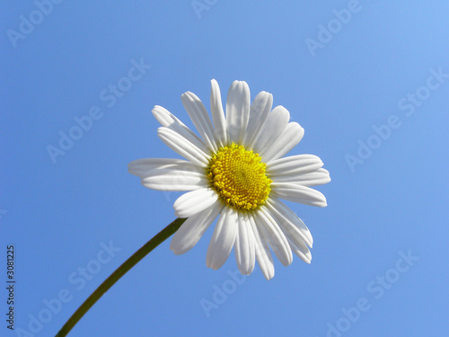 Photo: wo ist die sonne wo ist die sonne