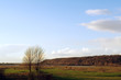 grebbeberg in winter