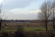 dutch wetlands