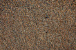 coast of shells coast of shells