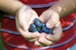 blueberry