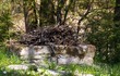 fireplace in forest