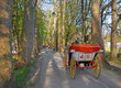 horse cab in long alley at sunny day from back