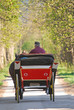 eco transport