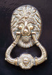 lion door knocker