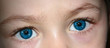 yeux bleu