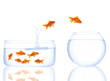 goldfishes in the queue