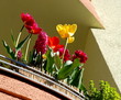 balkon 2 balkon 2