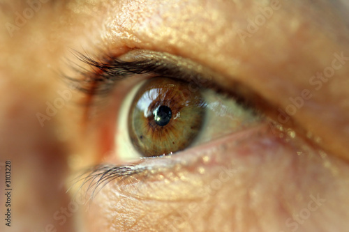 Photo: human eye. macro shooting... human eye. macro shooting...