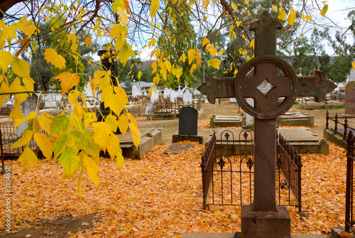 Photo : historic cemetery in autumn historic cemetery in autumn