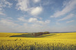 einfach nur natur 3