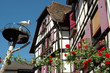 maison alsacienne+cygogne maison alsacienne+cygogne