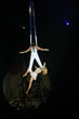 circus artists 2