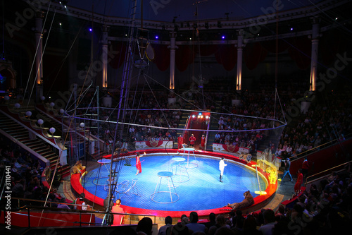 Photo: circus tigers circus tigers