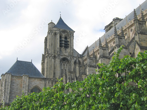 saint etienne cathedral with a tree in foreground, bourges, fran