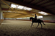 equitation, manège , france equitation, manège , france