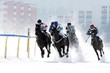 white turf 2007