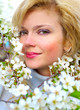 beatiful girl with cherry flowers in bloom beatiful girl with cherry flowers in bloom