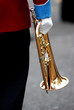 Photo : trompette