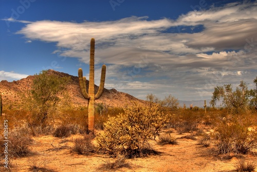 Photo: desert mountain desert mountain