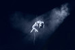 flying artist