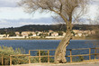 paysages 272