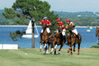 brioni polo classic 2006 brioni polo classic 2006