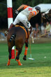 brioni polo classic