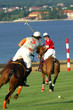 brioni polo classic brioni polo classic