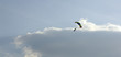 air45