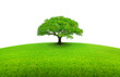 arbre sur prairie arondie