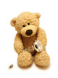 teddy-bear & bulbs