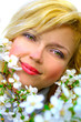 beatiful girl among cherry flowers beatiful girl among cherry flowers