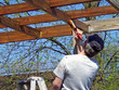 man staining arbor