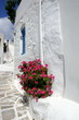grèce : rue typique des cyclades grèce : rue typique des cyclades