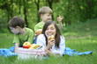 family picnic