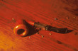 pipe de saint claude